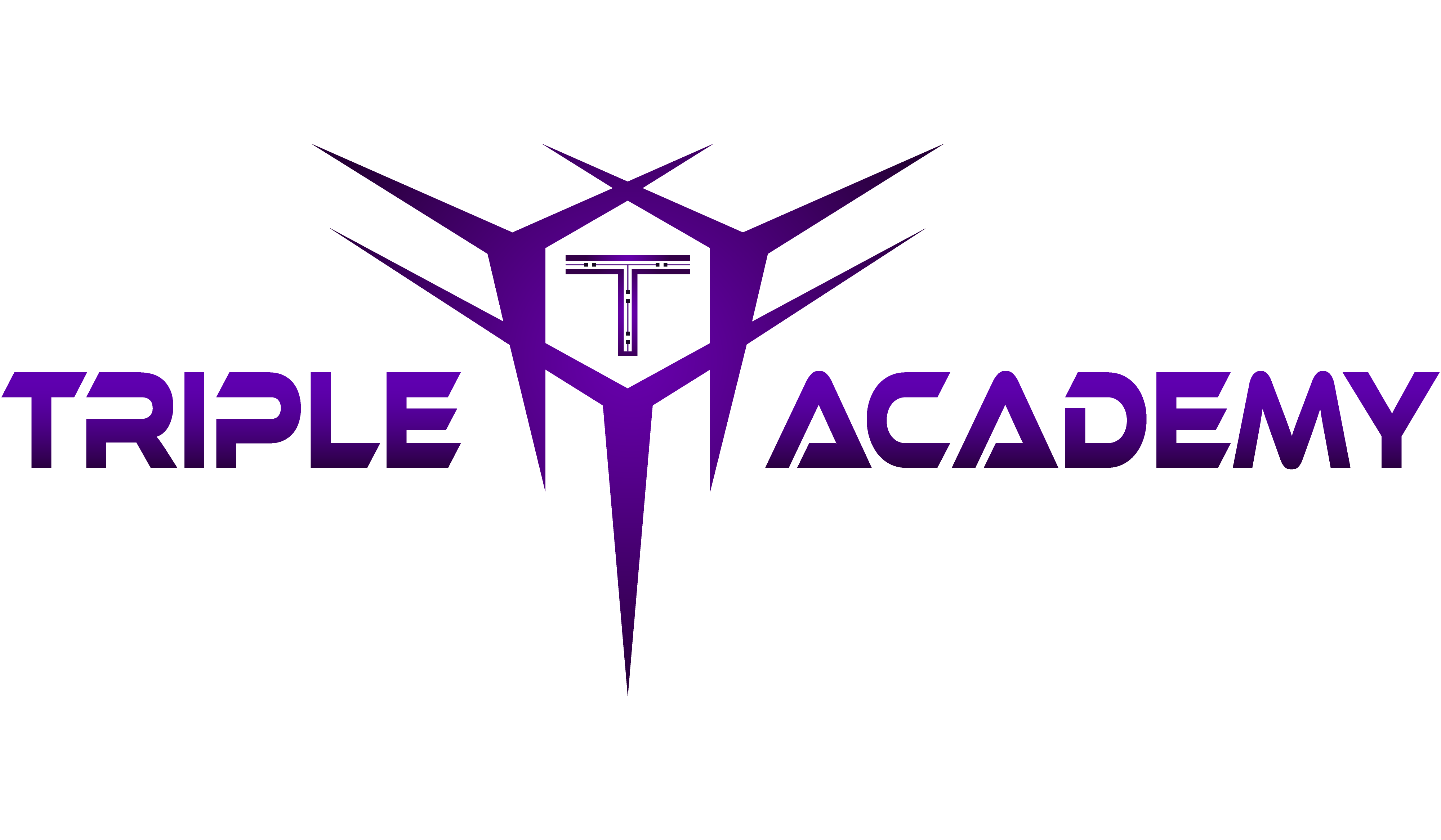 Triple T Academy New logo 2